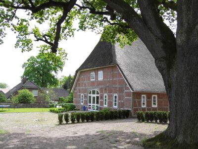 Ahrentschildt´s Reetdachhaus - Ferienwohnung Lüneburger Heide in Eyendorf